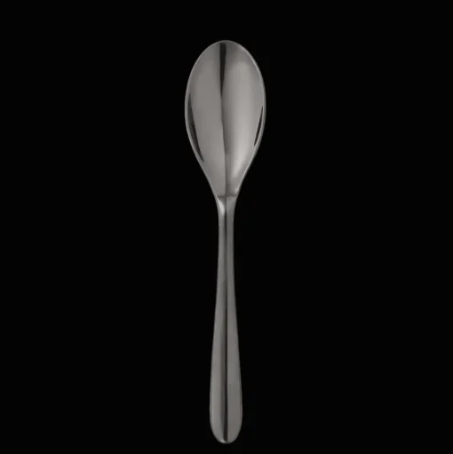 Black Stainless Steel Soup Spoon