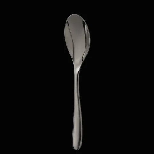Black Stainless Steel Soup Spoon