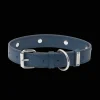 Calf Leather Collar - Size 2