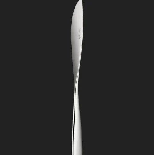 Dinner knife Squeeze Stainless steel