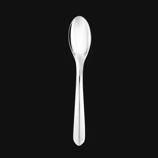 24-piece Silver-Plated Flatware Set for 6 People with Small Storage Box