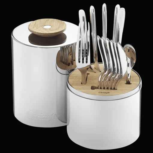 24-Piece Stainless Steel Flatware Set with Storage Capsule