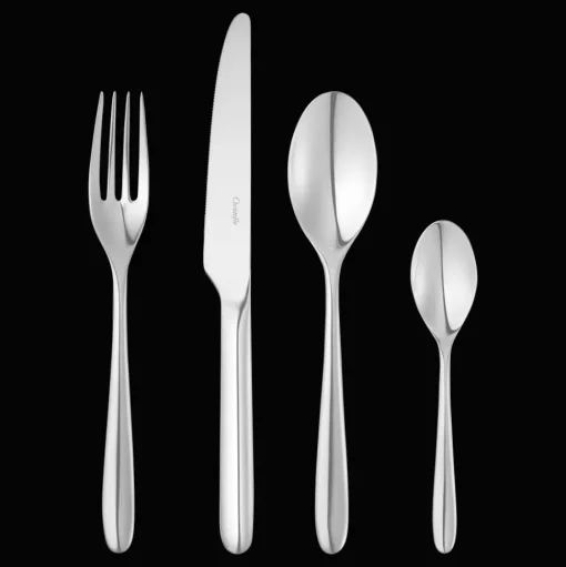 24-Piece Stainless Steel Flatware Set with Storage Capsule