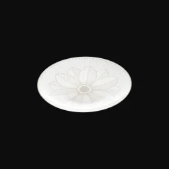 Porcelain Bread Plate Platinum Finish