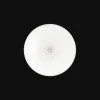 Porcelain Dessert/Luncheon/Salad plate Platinum Finish