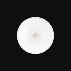 Porcelain Dessert/Luncheon/Salad plate Platinum Finish