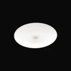 Porcelain Dessert/Luncheon/Salad plate Platinum Finish