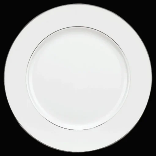 Porcelain Dinner Plate