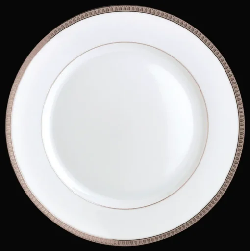 Porcelain Dinner Plate