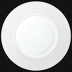 Porcelain Dinner Plate