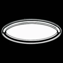 Silver-Plated Fish Serving Platter 28 in