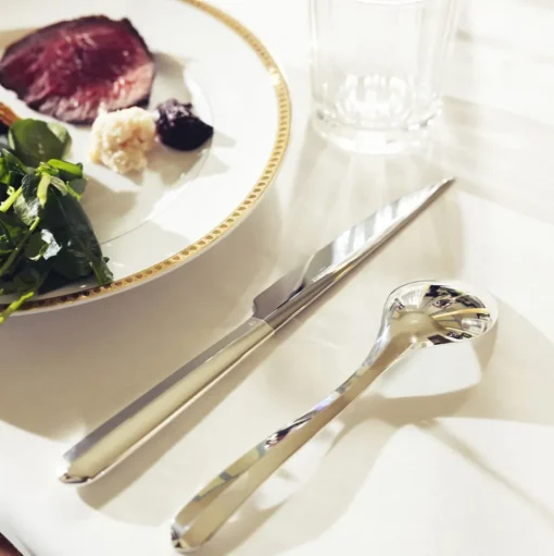 Silver-Plated Large Universal Spoon