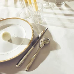 Silver-Plated Large Universal Spoon