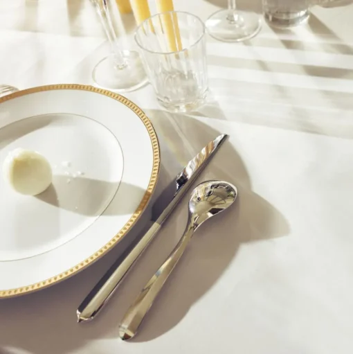 Silver-Plated Large Universal Spoon