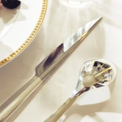 Silver-Plated Large Universal Spoon