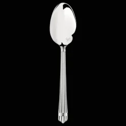 Silver-Plated Sauce Spoon
