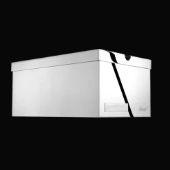 Silver-Plated Sneaker's box