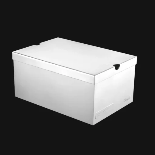 Silver-Plated Sneaker's box