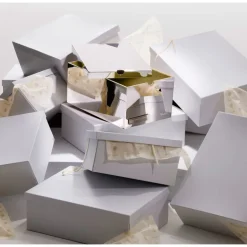 Silver-Plated Sneaker's box