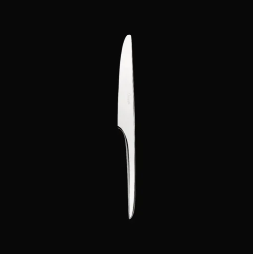 Stainless Steel Dessert Knife