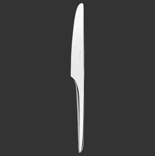 Stainless Steel Dinner Knife
