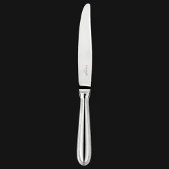 Stainless Steel Dinner Knife
