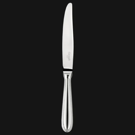 Stainless Steel Dinner Knife
