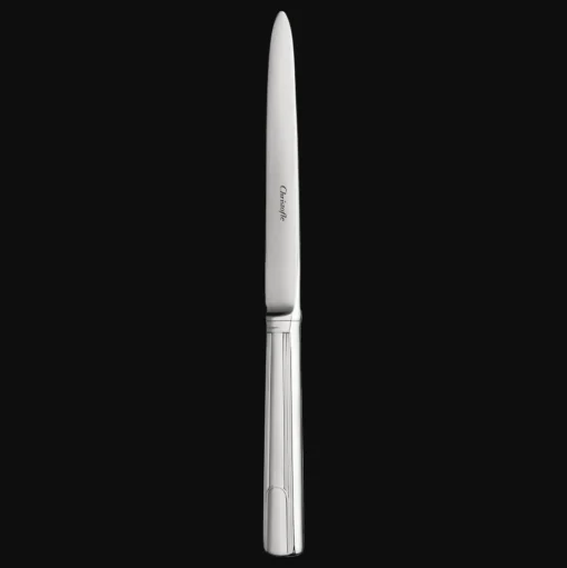 Stainless Steel Dinner Knife