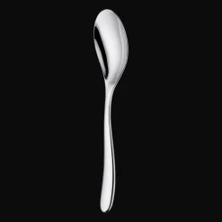 Stainless Steel Serving Spoon