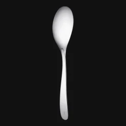 Stainless Steel Serving Spoon