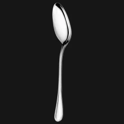 Stainless Steel Serving Spoon