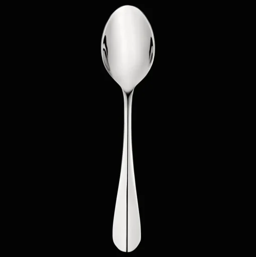 Stainless Steel Table Spoon