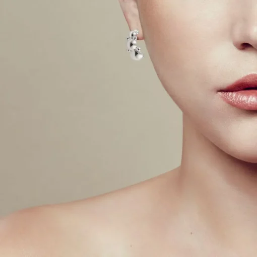 Sterling Silver Earrings