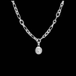 Sterling Silver Medal - Peau de Lion